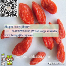 Bio-Goji-Beere